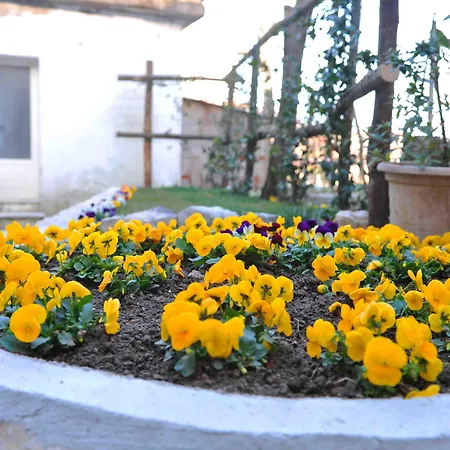 Costa Blu Bed and breakfast Agerola